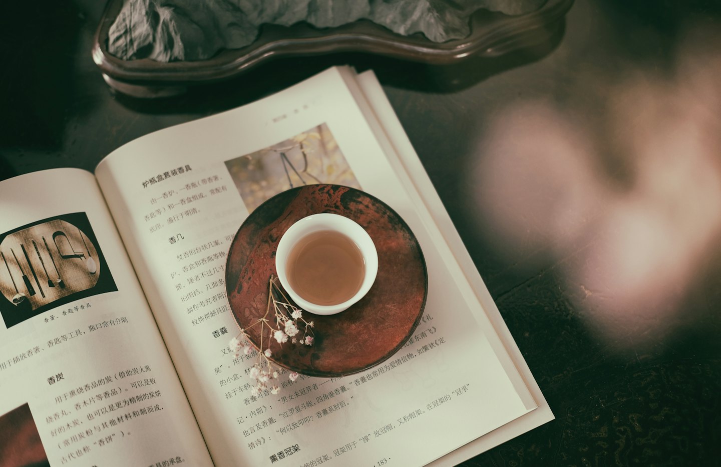 Open book with Chinese text and illustrations beside a teacup.